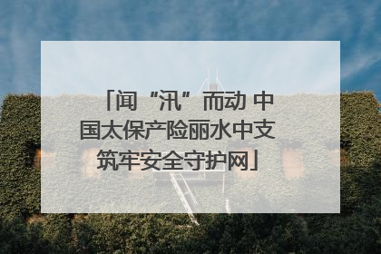 闻“汛”而动 中国太保产险丽水中支筑牢安全守护网