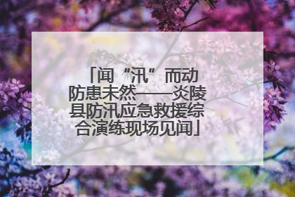 闻“汛”而动 防患未然——炎陵县防汛应急救援综合演练现场见闻