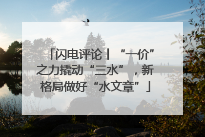 闪电评论丨“一价”之力撬动“三水”,新格局做好“水文章”
