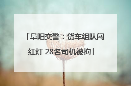 阜阳交警：货车组队闯红灯 28名司机被拘