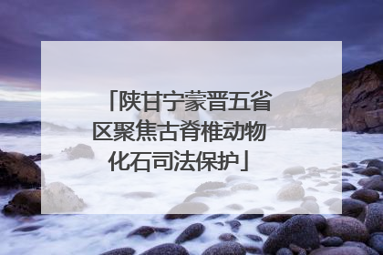 陕甘宁蒙晋五省区聚焦古脊椎动物化石司法保护
