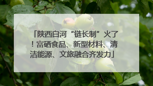 陕西白河“链长制”火了！富硒食品、新型材料、清洁能源、文旅融合齐发力