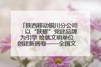陕西移动铜川分公司：以“陕耀”党建品牌为引擎 绘就文明单位创建新画卷——全国文明单位创建纪实