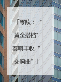 零陵：“黄金搭档”奏响丰收“交响曲”