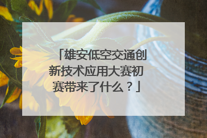 雄安低空交通创新技术应用大赛初赛带来了什么？