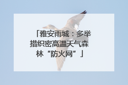 雅安雨城：多举措织密高温天气森林“防火网”