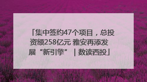 集中签约47个项目，总投资额258亿元 雅安再添发展“新引擎”｜数读西投