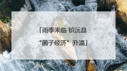 雨季来临 镇沅县“菌子经济”升温