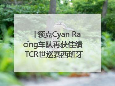 领克Cyan Racing车队再获佳绩 TCR世巡赛西班牙站包揽六座奖杯