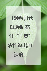颗粒归仓稳增收 宿迁“三夏”农忙跑出加速度