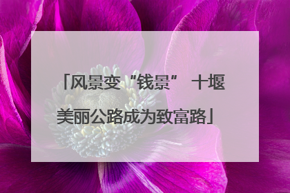风景变“钱景” 十堰美丽公路成为致富路