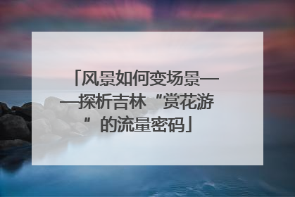 风景如何变场景——探析吉林“赏花游”的流量密码