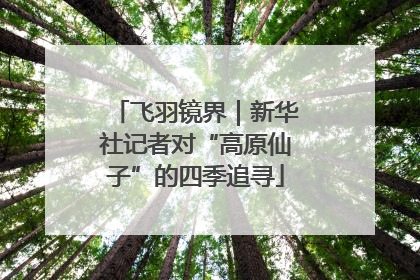 飞羽镜界｜新华社记者对“高原仙子”的四季追寻