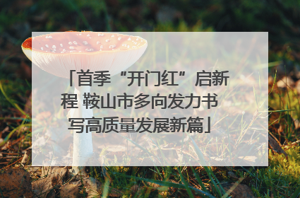 首季“开门红”启新程 鞍山市多向发力书写高质量发展新篇