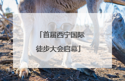 首届西宁国际徒步大会启幕
