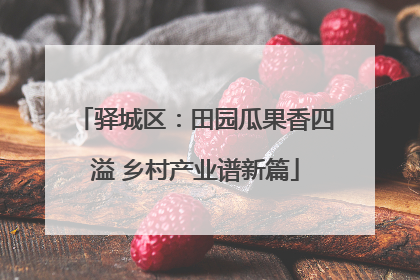 驿城区：田园瓜果香四溢 乡村产业谱新篇
