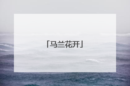 马兰花开