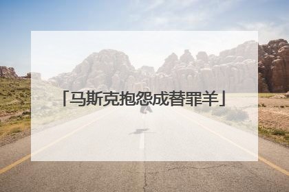 马斯克抱怨成替罪羊