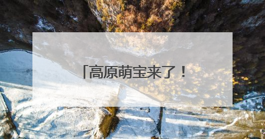高原萌宝来了！若尔盖湿地首批黑颈鹤雏鸟破壳