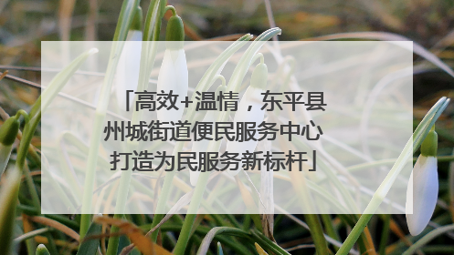 高效+温情，东平县州城街道便民服务中心打造为民服务新标杆