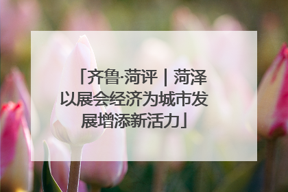 齐鲁·菏评｜菏泽以展会经济为城市发展增添新活力