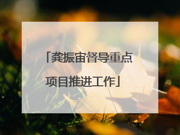 龚振宙督导重点项目推进工作