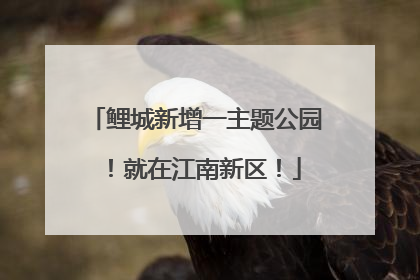鲤城新增一主题公园！就在江南新区！