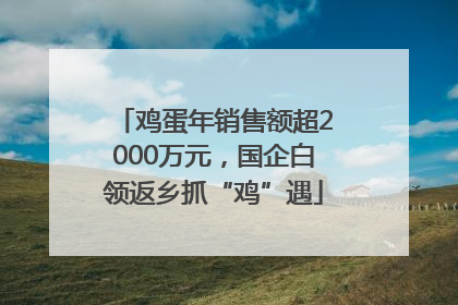 鸡蛋年销售额超2000万元,国企白领返乡抓“鸡”遇