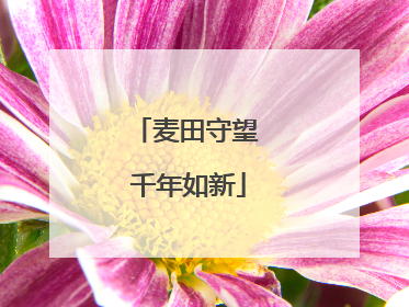 麦田守望 千年如新