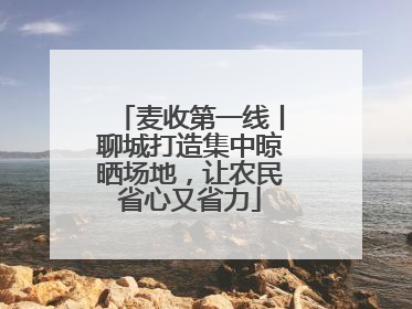 麦收第一线丨聊城打造集中晾晒场地，让农民省心又省力