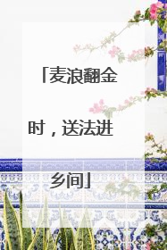 麦浪翻金时，送法进乡间