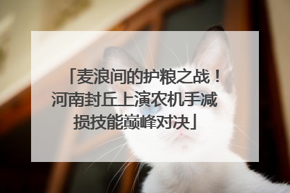 麦浪间的护粮之战！河南封丘上演农机手减损技能巅峰对决