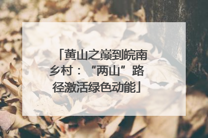 黄山之巅到皖南乡村：“两山”路径激活绿色动能