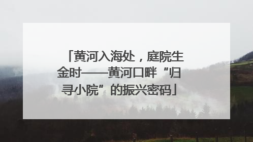 黄河入海处，庭院生金时——黄河口畔“归寻小院”的振兴密码