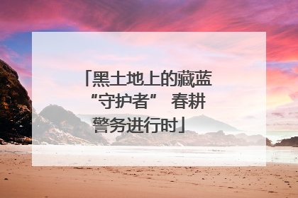 黑土地上的藏蓝“守护者” 春耕警务进行时