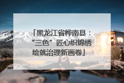 黑龙江省桦南县：“三色”匠心织锦绣 绘就治理新画卷