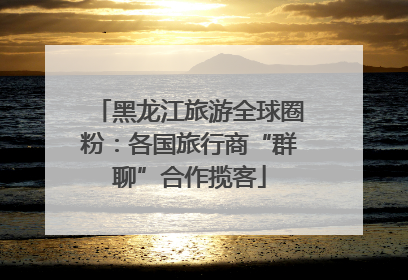 黑龙江旅游全球圈粉：各国旅行商“群聊”合作揽客