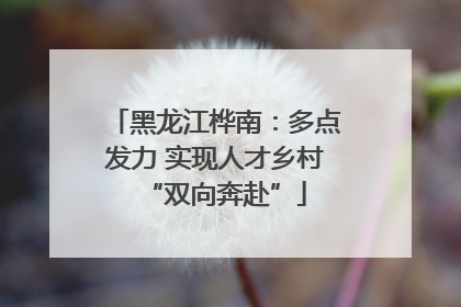 黑龙江桦南：多点发力 实现人才乡村“双向奔赴”