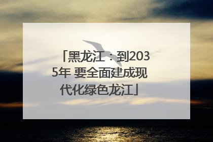 黑龙江：到2035年 要全面建成现代化绿色龙江