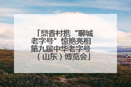 鼎香村携“聊城老字号”惊艳亮相第九届中华老字号（山东）博览会
