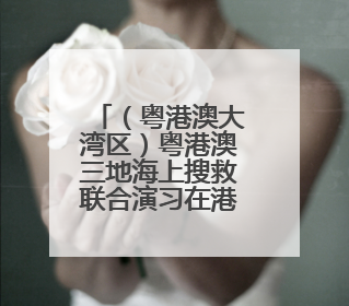 （粤港澳大湾区）粤港澳三地海上搜救联合演习在港举行