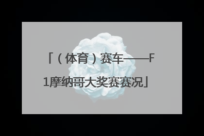 （体育）赛车——F1摩纳哥大奖赛赛况