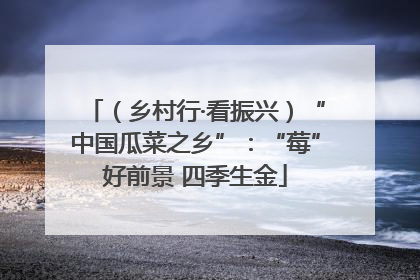 （乡村行·看振兴）“中国瓜菜之乡”：“莓”好前景 四季生金