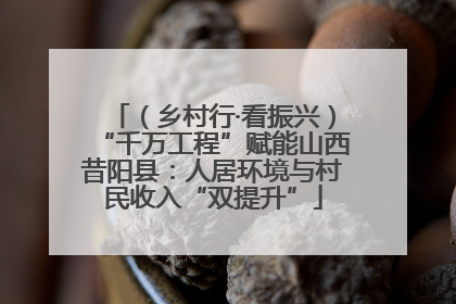 （乡村行·看振兴）“千万工程”赋能山西昔阳县：人居环境与村民收入“双提升”