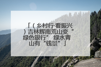 （乡村行·看振兴）吉林辉南荒山变“绿色银行” 绿水青山有“钱景”