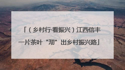 （乡村行·看振兴）江西信丰一片茶叶“沏”出乡村振兴路