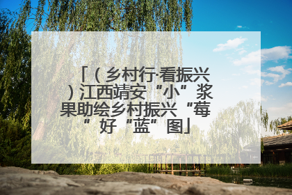 （乡村行·看振兴）江西靖安“小”浆果助绘乡村振兴“莓”好“蓝”图