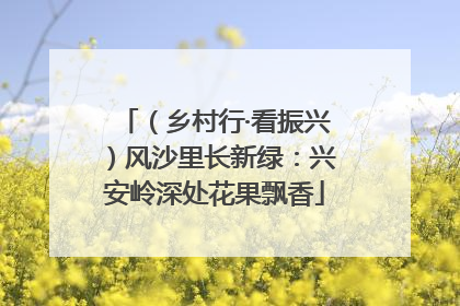 （乡村行·看振兴）风沙里长新绿：兴安岭深处花果飘香