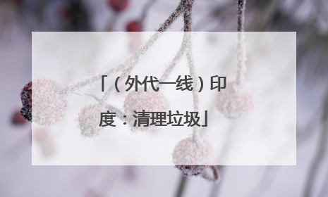（外代一线）印度：清理垃圾