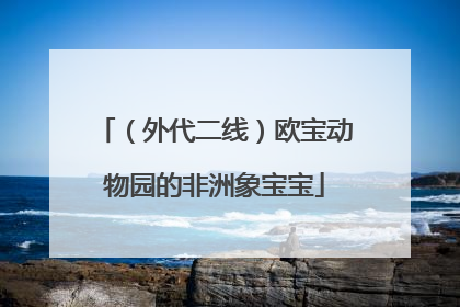 （外代二线）欧宝动物园的非洲象宝宝